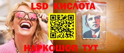 гашик Кинель